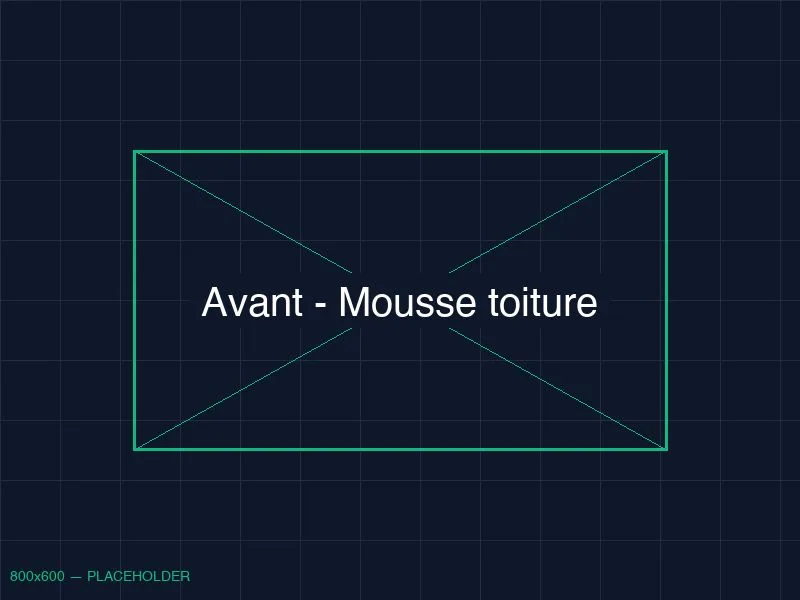 Toiture couverte de mousse avant nettoyage - Villa Hossegor